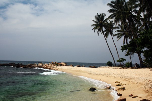 Шри-Ланка  в феврале - путешествие вглубь острова